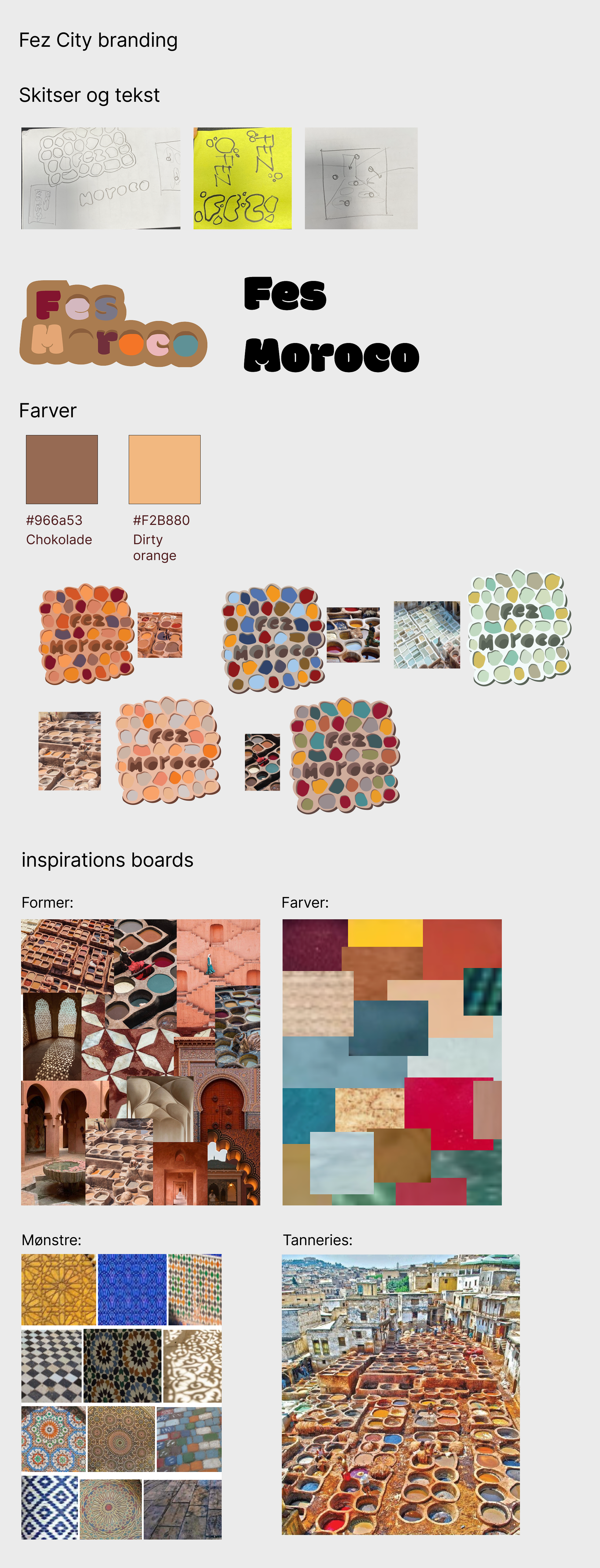 FEZ visual identity guide